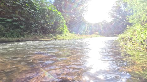 sunlight reflecting on a flowing forest stream