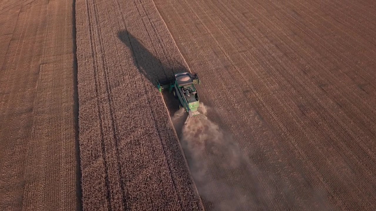Veduta aerea di una mietitrebbia verde che miete i raccolti in un campo polveroso in Norvegia, con una lunga ombra proiettata dal sole basso