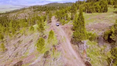 Inspección-Con-Drones-De-Un-Trabajo-De-Gestión-Forestal-En-La-Ladera-De-Una-Montaña