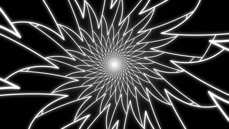 abstract black and white spiral graphic flower lines looped animation