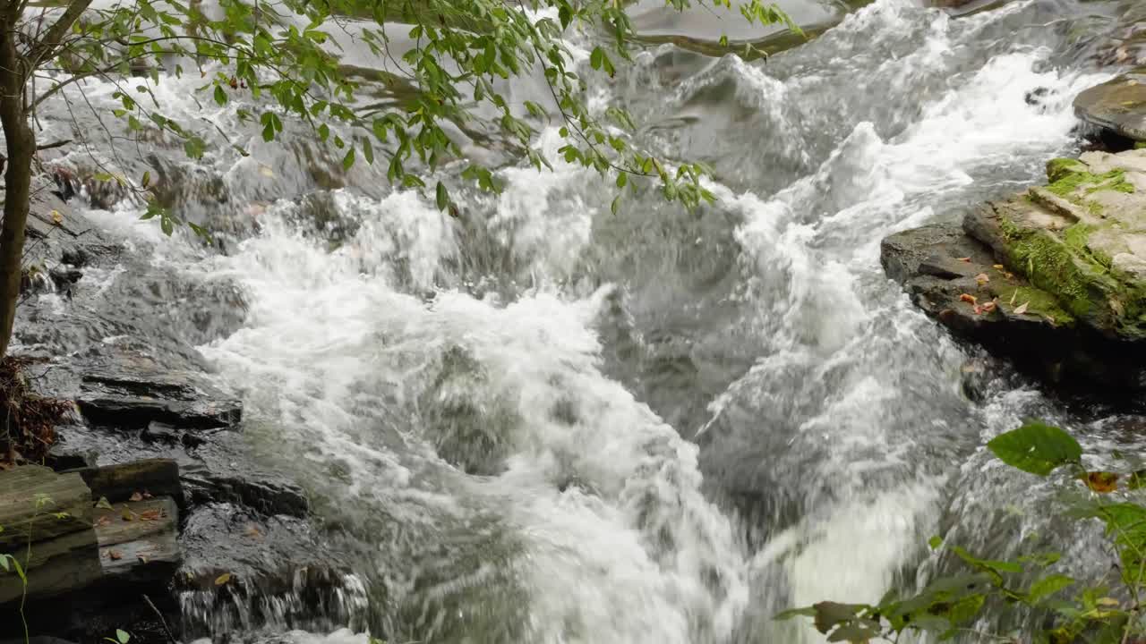 cascada cerca del puente cubierto, molino de thomas en el arroyo wissahickon