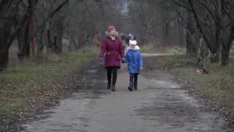 Menschen-Gehen-Im-Januar-Durch-Den-Düsteren-Park