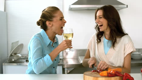 friends talking together while one is preparing the dinner