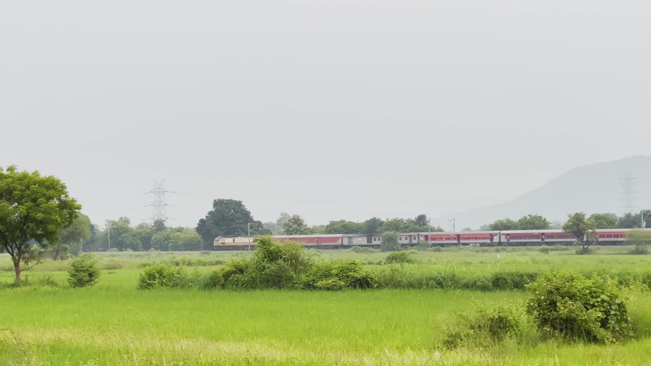 Camera follows a red passenger train moving across lush green paddy fields with a distant hill in the background