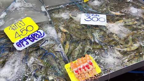 shrimp displayed on ice with price tags