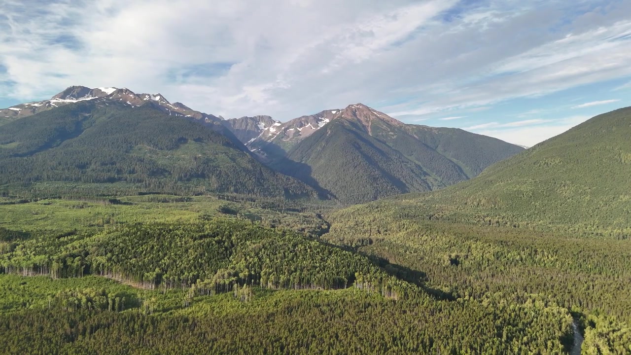 Veduta aerea di una foresta lussureggiante a Terrace con montagne innevate sullo sfondo sotto un cielo parzialmente nuvoloso, che evoca tranquillità e vastità