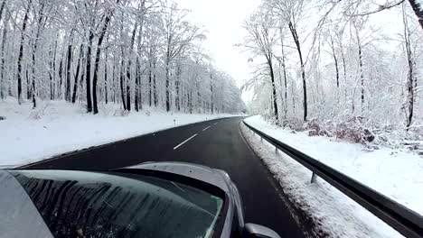 car is driving through winter forest, 360 degree, vr360, 360vr, 360video, little planet effect