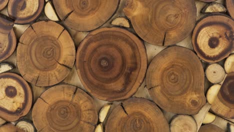 round wooden unpainted solid natural tree cuts of different sizes. wooden texture. decorative panel