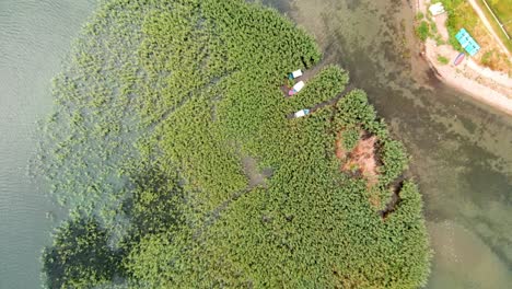 Toma-Aérea-De-Una-Isla-Salvaje-Hecha-De-Junco-Y-Caña-En-Struga-En-El-Lago-Ohrid-En-Macedonia