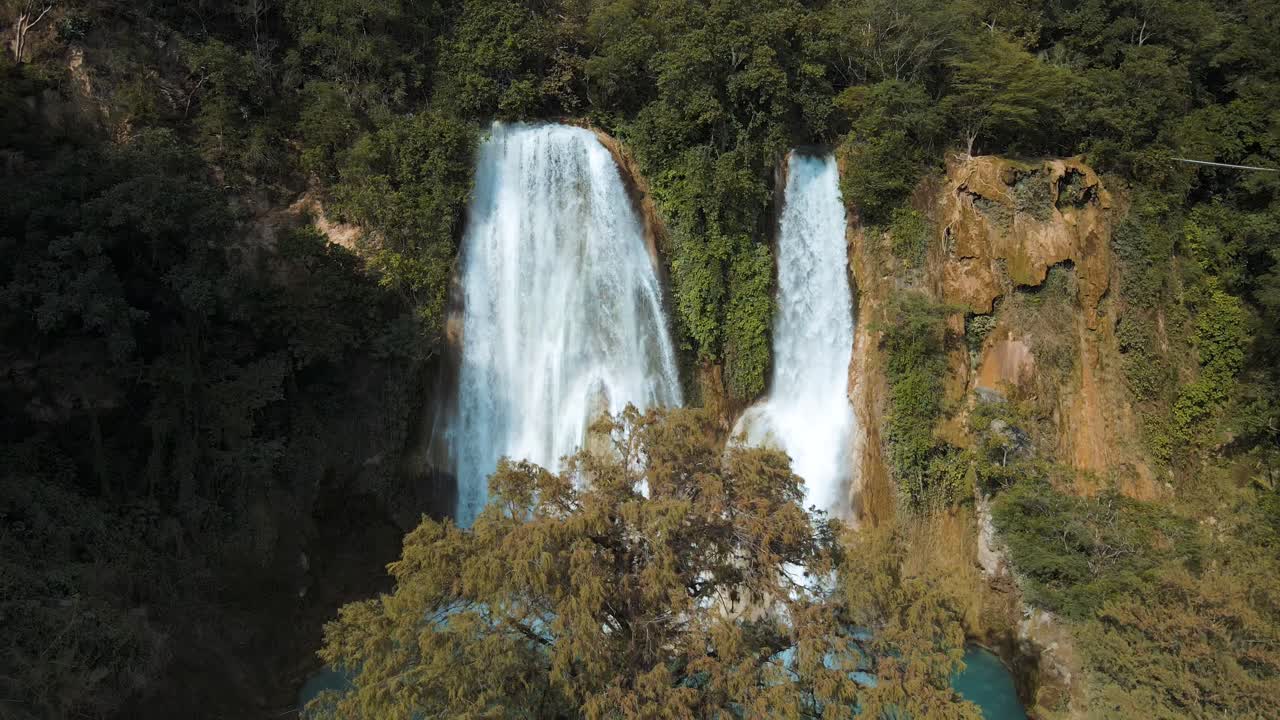 espectacular paisaje de cascadas en la selva mexicana con un magnífico árbol creciendo frente a un estanque turquesa, disparo de drone