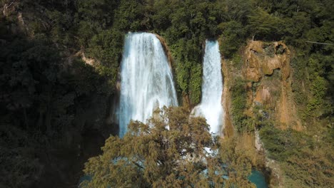 spectacular waterfall scenery in the mexican jungle with a magnificent tree growing in front of a turquoise pond, drone shot