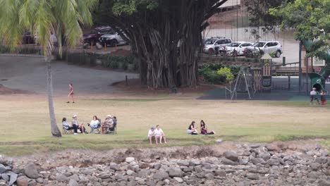 a serene picnic scene with people relaxing by a river under large trees in port douglas, captured in natural daylight