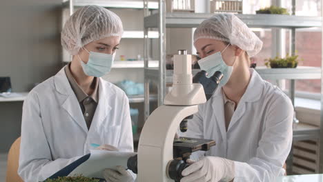 two scientists working in a laboratory