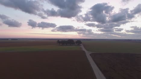 Un-Grupo-De-árboles-En-Medio-De-Los-Campos-Agrícolas-Del-Sur-Al-Amanecer