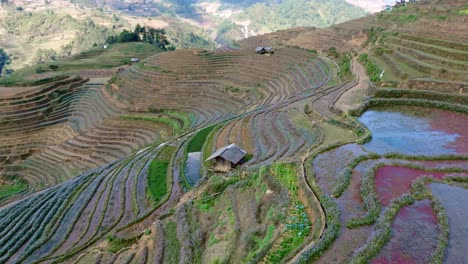 Das-Video-Zeigt-Die-Lebendigen-Farben-Und-Muster-Der-Terrassen-Und-Einer-Einsamen-Hütte