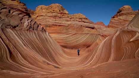 man walking on the wave sandstone structure in arizona desert. delicate sandstone carved by thousands of years of wind erosion. unique geological formation and hiking trail near knab utah.