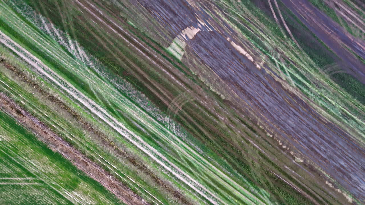 vista aérea de los campos de cultivo, vista geométrica después del trabajo del vehículo tractor, agricultura vista de arriba hacia abajo del dron