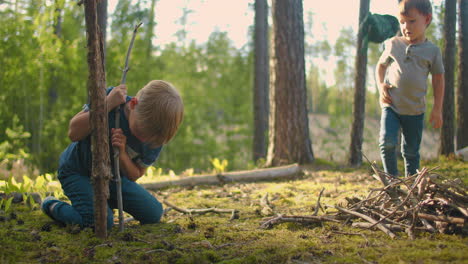 Zwei-Kleine-Jungen-Sammeln-Brennholz-Im-Wald.-Zwei-Kleine-Brüder-Im-Wald-Sammeln-Gemeinsam-Holz-Und-Machen-Ein-Feuer