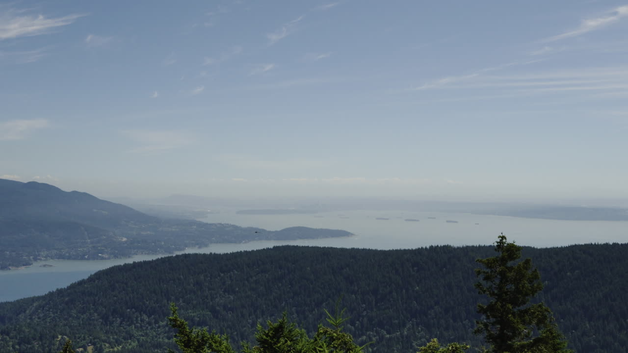 View from Bowen Island to Vancouver, dragonflies are humming through the sky, handheld shot