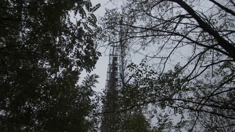 mirando hacia los árboles con duga array en el fondo en la estación de radar duga en la zona de exclusión de chernobyl en pripyat, ucrania