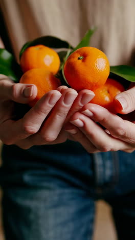 hands holding fresh citrus fruits with green leaves