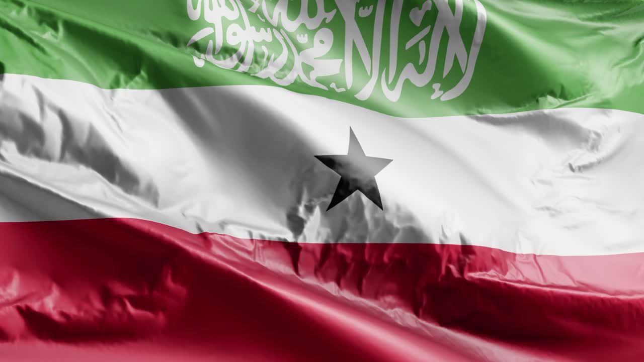 Somaliland flag waving on the wind loop. Somaliland banner swaying on the breeze. Full filling background. 10 seconds loop.