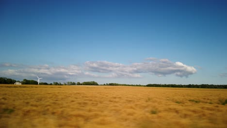 vast golden field under blue sky with clouds, wind turbine in distance, shot from car on gotland