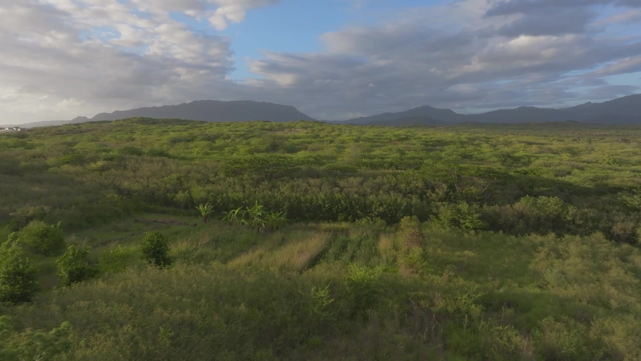 Slow low-altitude aerial traveling over dense tropical plain vegetation, with distant mountain ranges stretching across the horizon beneath a dramatic sky.