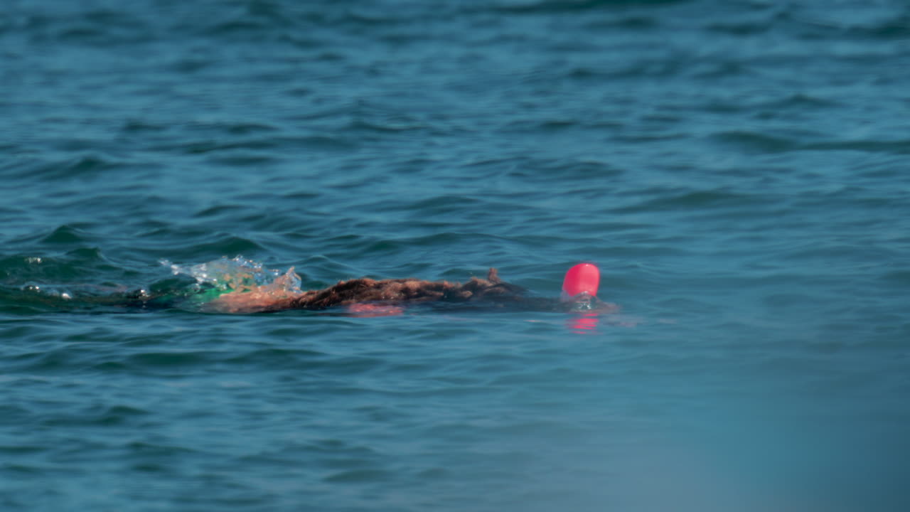 A woman with dreadlocks and a snorkel mask swims gently on the surface of the water