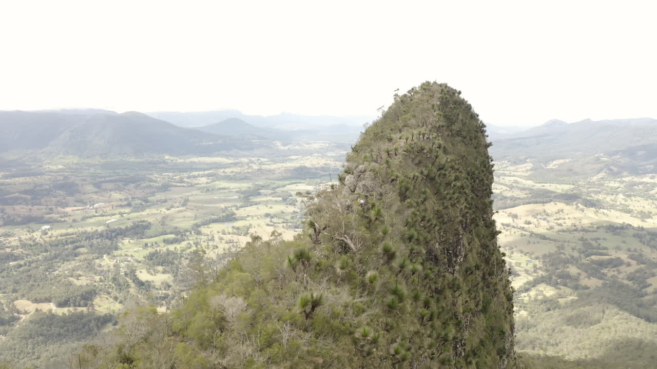 toma en órbita de drones de 4k de un hermoso acantilado de la columna vertebral de la montaña en el parque nacional border ranges, nueva gales del sur, australia