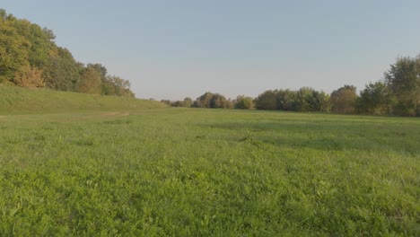 tranquil green field landscape