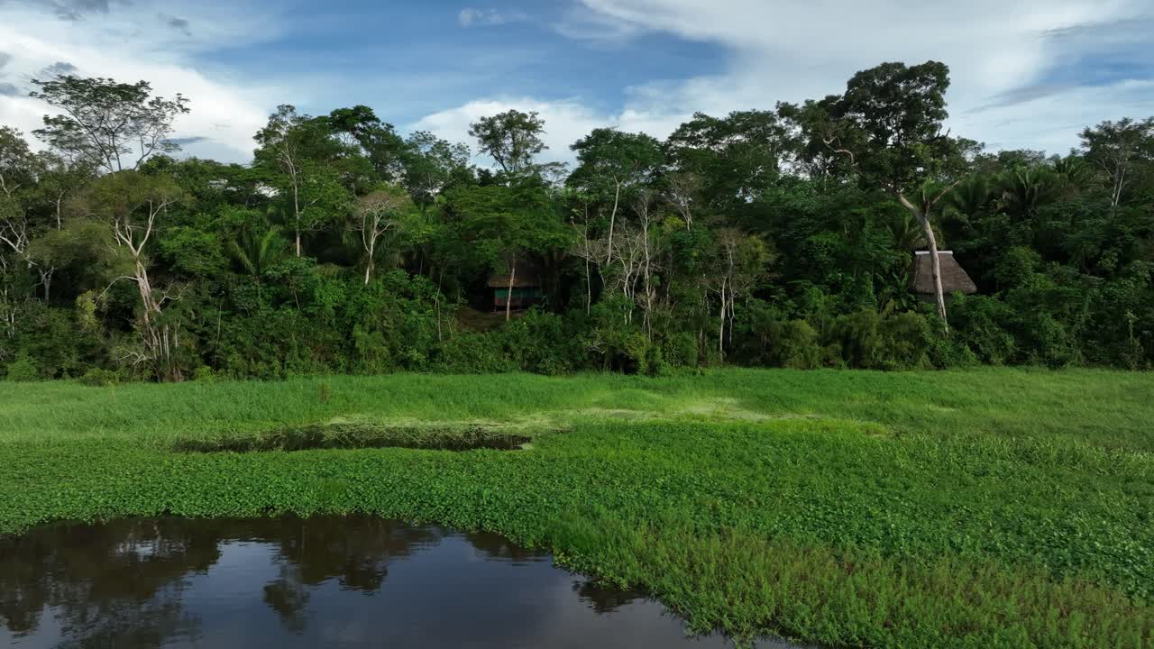 vista aérea de drones de la cabaña de la selva en la amazonia, rodeada de árboles, ríos, clima tropical, animales salvajes, lluvia en el bosque