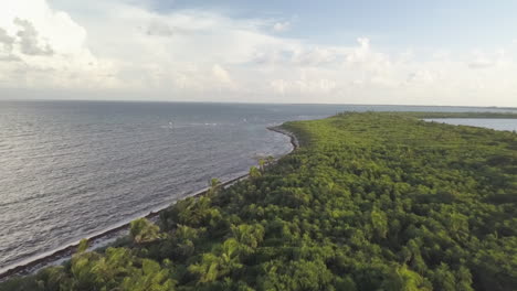 dji drone rapid fly over footage over top of trees at punta allen beach coastline