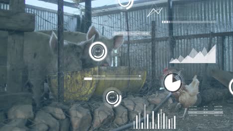animación del procesamiento de datos financieros sobre pollos y cerdos en la granja