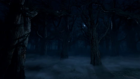 eerie dark forest at night with mysterious fog