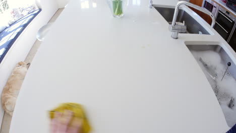 point of view of man wiping kitchen worktop while dog sleeps