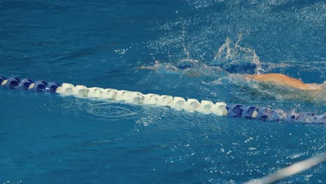 athlete swimming freestyle in a pool race