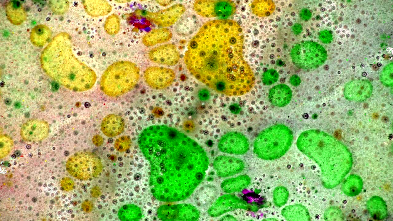 el rizado de las pinturas