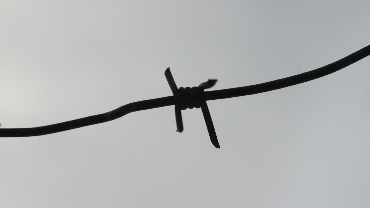 회색 하늘 배경에 있는 가시선