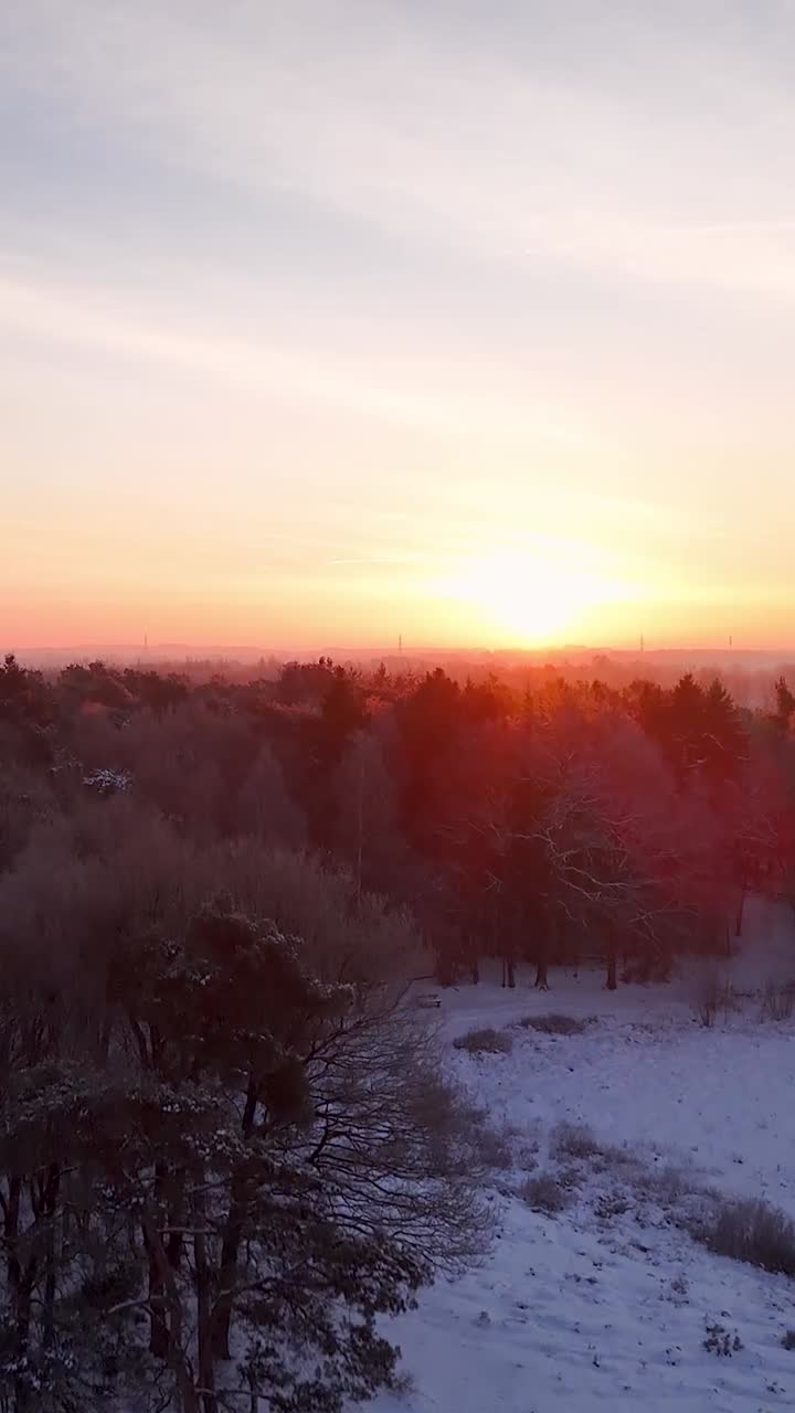 Nascer do sol sobre uma floresta coberta de neve