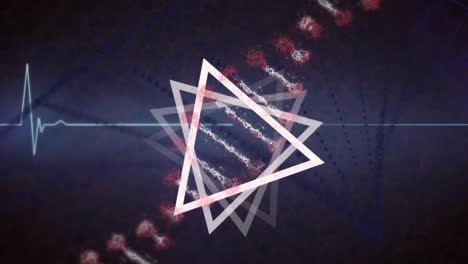 Animation-of-rotating-triangles,-dna-and-heart-rate-on-navy-background