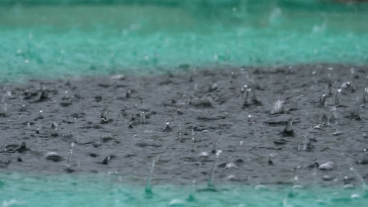 폭우 때 큰 비방울이 웅이에 떨어집니다. 물방울