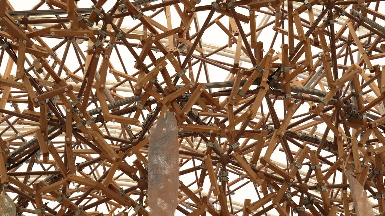 Soffitto a griglia in legno dettagliato che mostra un design architettonico biofilico contemporaneo.