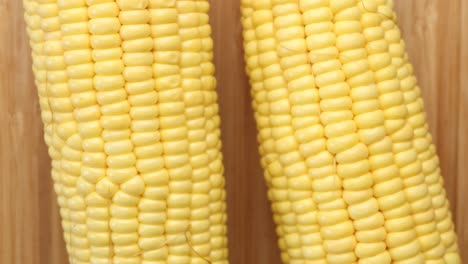 Sweet-corns-on-white-background-close-up-,