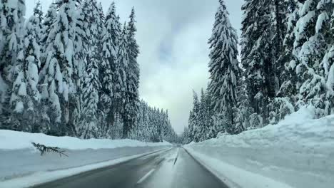 Diving-on-dry-road-with-huge-line-of-plowed-snow-on-each-side-of-the-road