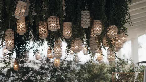 decorative lights glow gently among plants in serene romantic setting