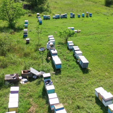 rows of beehives in nature. wooden hives on green grass in summer. bees flying close to camera on apiary background. beekeeper works on a bee farm. aerial view.