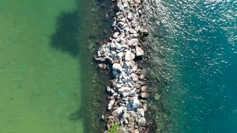 Aerial-view-of-two-different-bodies-of-water-divided-by-a-man-made-break-wall