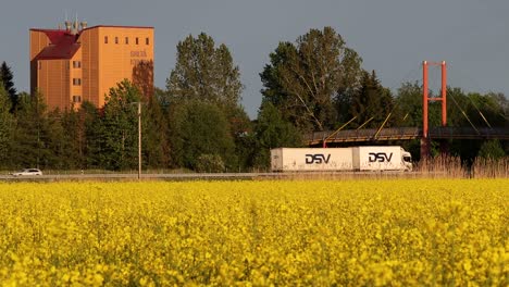 raps field sweden