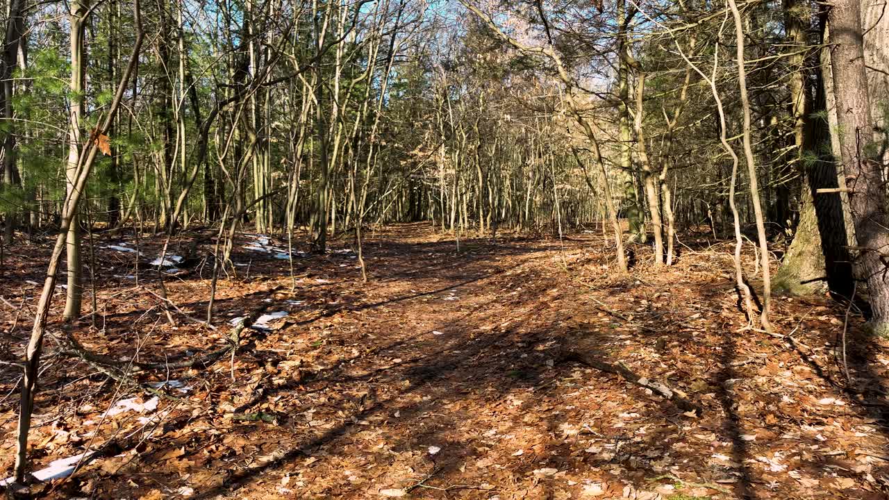 Lentewandeling in POV met drone